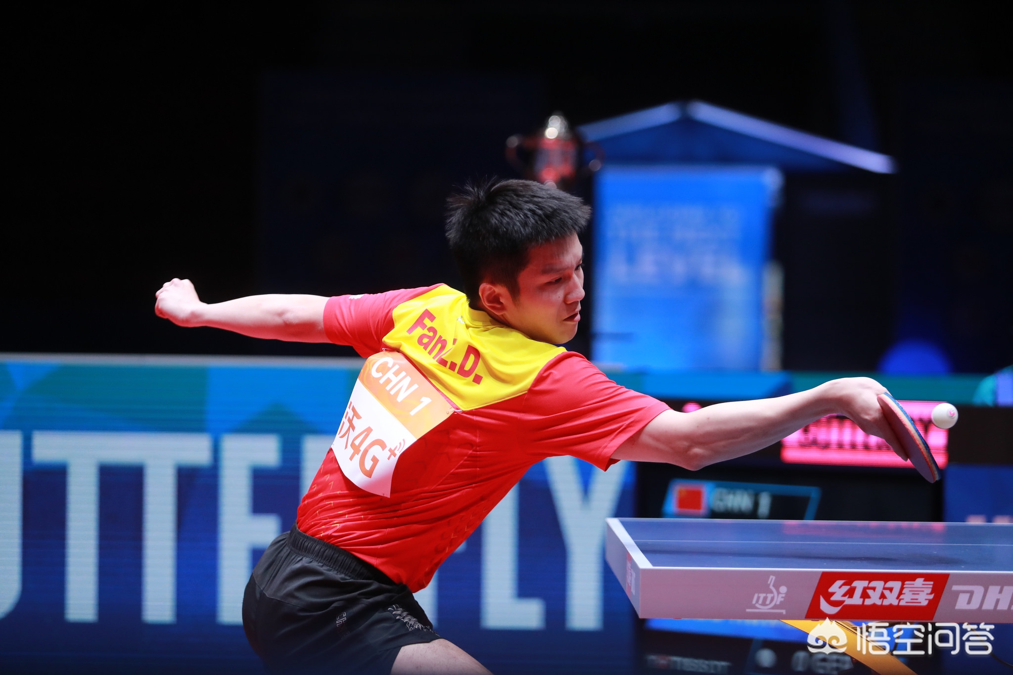 转换与视野 转换与视野