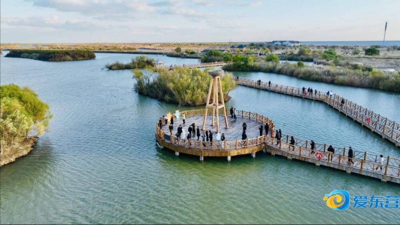 少年西游记 少年西游记